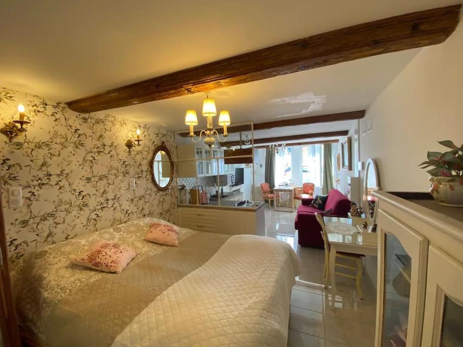 Апартаменты Ravissant Shabby Chic Au Centre De Мец Экстерьер фото